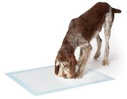 Anti Bacteria Washable Puppy Training Toilet Dog Wee Mats